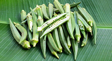 Bamya tohumunun faydaları