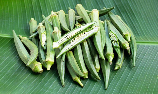 Bamya tohumunun faydaları