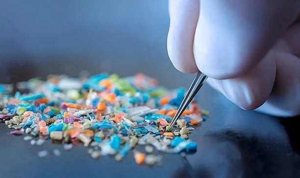 Bilim insanları beyinde mikroplastik buldu