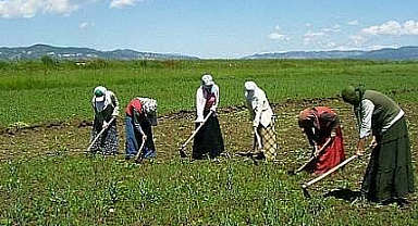 Bu işi yaparak günde 900 TL kazanıyorlar