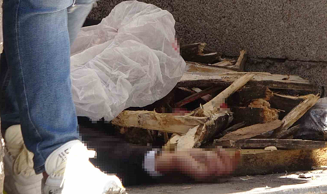 Diyarbakır'da yasak aşk cinayeti: Eşini ve sevgilisini öldürdü