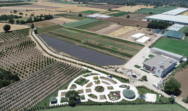 Doğal ürünlere ilgi artıyor