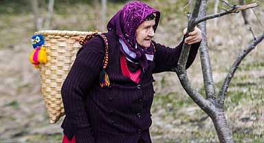 Doğu Karadeniz kırsalı yaşlandı