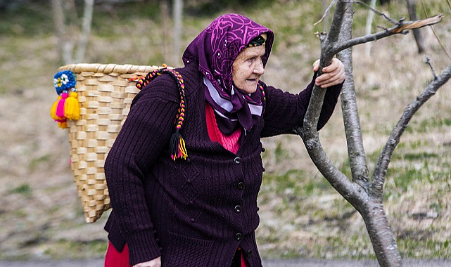 Doğu Karadeniz kırsalı yaşlandı