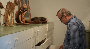 Dünya biyoçeşitliliğine ilk kez kazandırılan 3 yeni tür Samsun'da