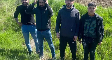 Edirne'de 4 kaçak göçmen yakalandı