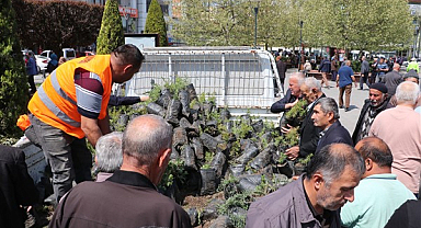 Havza'da bin 500 fidan dağıtıldı  
