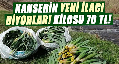 Kanserin yeni ilacı diyorlar! Kilosu 70 TL! 