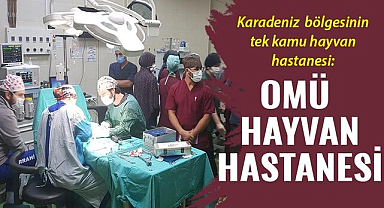 Karadeniz bölgesinin tek kamu hayvan hastanesi: OMÜ Hayvan Hastanesi