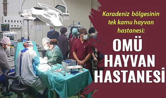 Karadeniz bölgesinin tek kamu hayvan hastanesi: OMÜ Hayvan Hastanesi