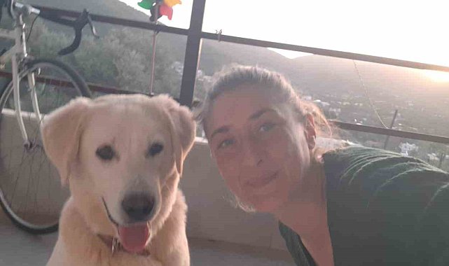 Kedi ve köpek katliamı hayvanları zehirlediler