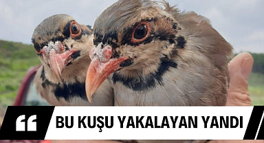 Keklik yakalayan 2 kişiye ceza yağdı