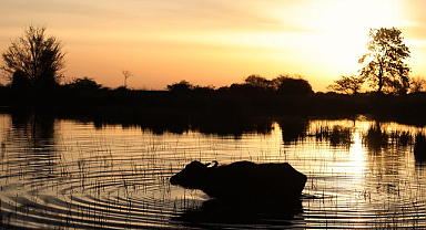 Kızılırmak Deltası'nda muhteşem gün doğumu