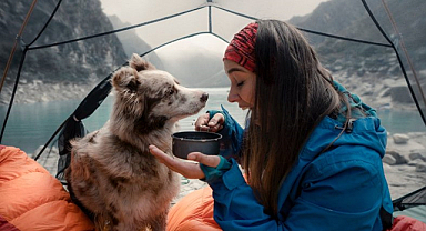  Köpeğinizle kamp yaparken dikkat etmeniz gerekenler