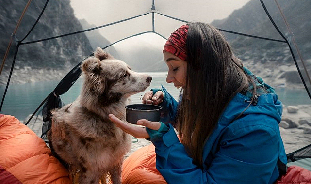  Köpeğinizle kamp yaparken dikkat etmeniz gerekenler