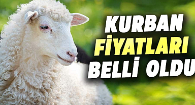 Kurban fiyatları belli oldu: 2024 yılı kurbanlık fiyatları