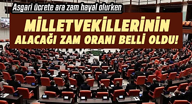 Milletvekillerinin de alacağı zam oranı belli oldu!