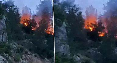 Osmaniye'de orman yangını