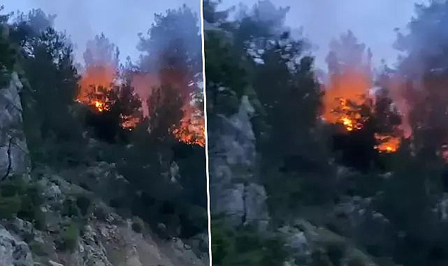 Osmaniye'de orman yangını