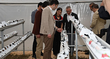 Samsun'a Japonya'dan hibe! Kadınlar destekleniyor