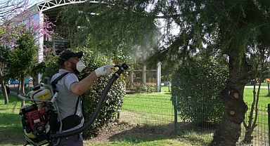 Samsun Büyükşehir’den 25 bin noktada mücadele