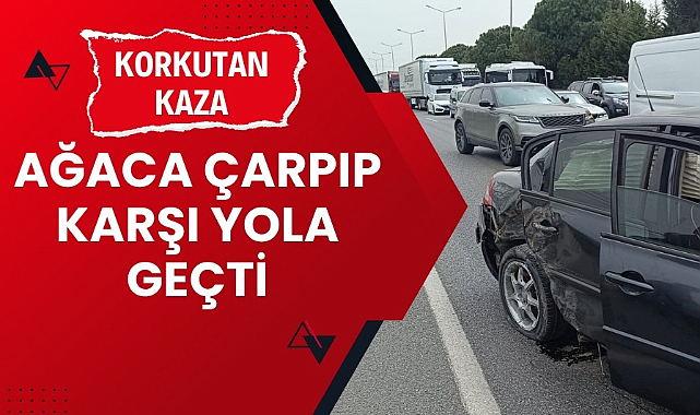 Samsun'da araç ağaca çarpıp karşı yola geçti 4 yaralı  