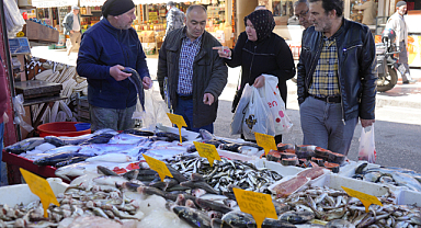 Samsun'da balıkçılar sezondan memnun