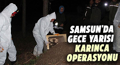Samsun'da gece yarısı karınca operasyonu