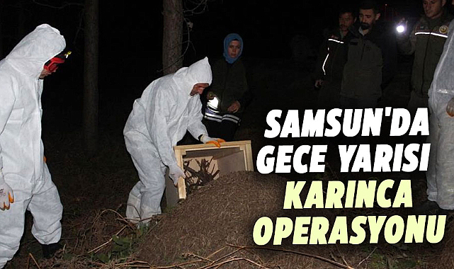 Samsun'da gece yarısı karınca operasyonu