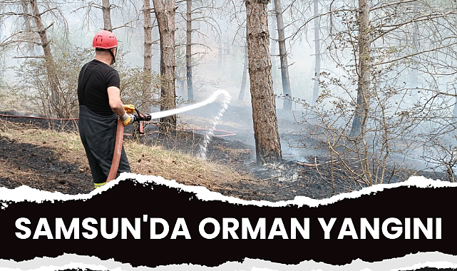 Samsun'da Havza Kılavuz Ormanı yandı
