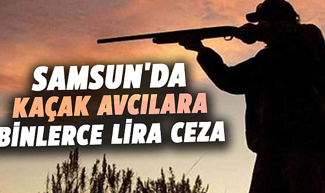 Samsun'da kaçak avcılara binlerce lira ceza