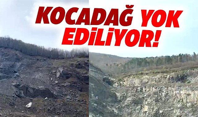 Samsun'da Kocadağ yok ediliyor
