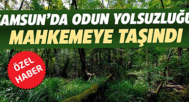 Samsun'da odun yolsuzluğu mahkemeye taşındı