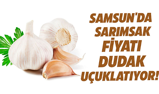 Samsun'da sarımsak fiyatı dudak uçuklatıyor!