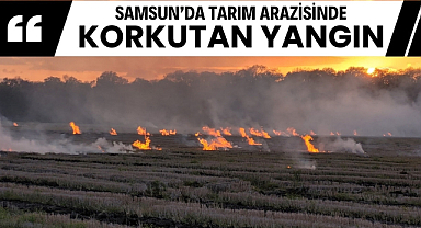 Samsun'da tarım arazisinde çıkan yangın korkuttu