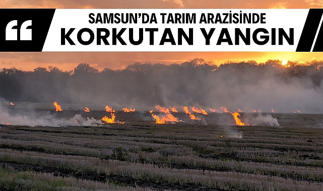 Samsun'da tarım arazisinde çıkan yangın korkuttu