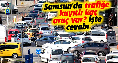 Samsun'da trafiğe kayıtlı kaç araç var? İşte cevabı