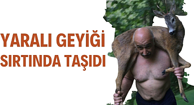 Samsun'da yaralı geyiği omuzda taşıdı