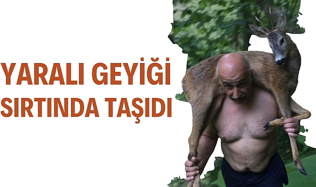 Samsun'da yaralı geyiği omuzda taşıdı
