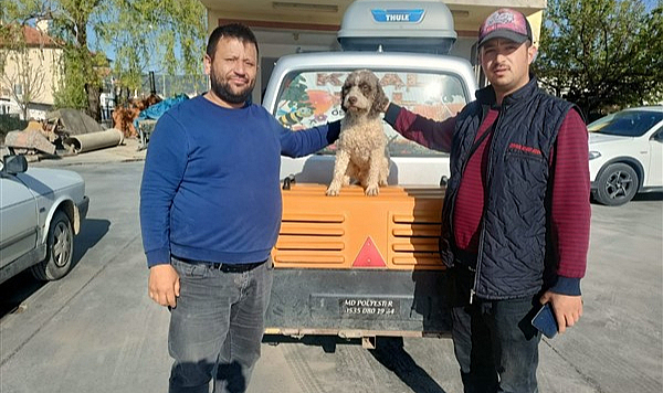 Samsunlu avcı Fatih Gören köpeğini bulana hediye verdi