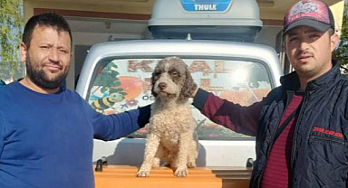 Samsunlu vatandaşın Trüf mantarı avcısı köpeği ‘Radar’ bulundu