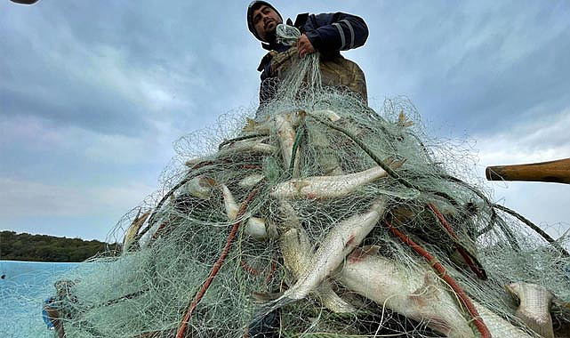 Su ürünleri ihracatında hedef 2 milyar dolar