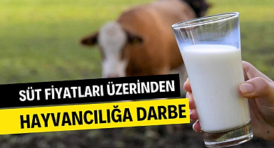 Süt fiyatları üzerinden hayvancılığa darbe vuruldu