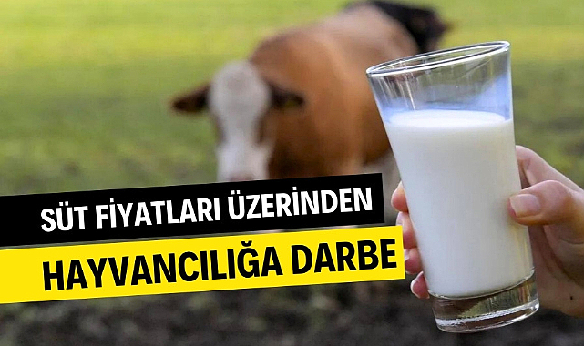 Süt fiyatları üzerinden hayvancılığa darbe vuruldu