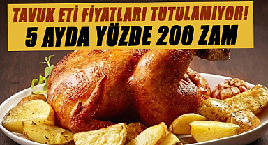 Tavuk eti fiyatları tutulamıyor! 5 ayda yüzde 200 zam