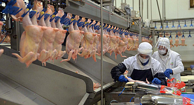 Ticaret Bakanlığı duyurdu: Tavuk etine sınırlama 