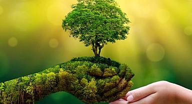 Yeşil Dönüşüm: Küresel bir gereklilik