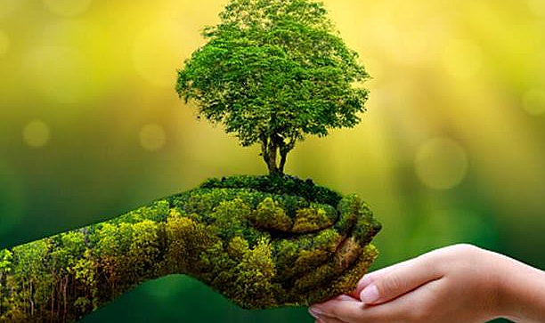 Yeşil Dönüşüm: Küresel bir gereklilik