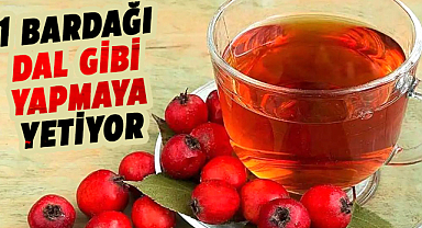 Alıç Çayı: Doğanın kilo verdiren şifası