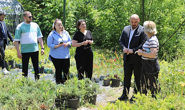 Atakum Belediyesi sera alanında üretim kapasitesi artıyor